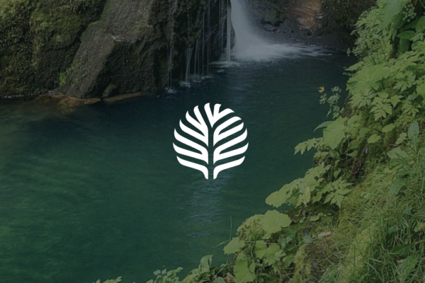 Capture d’écran 2025-12-09 à 17.54.55