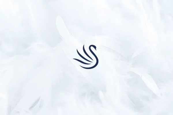 Plume-avec-symbole-scaled