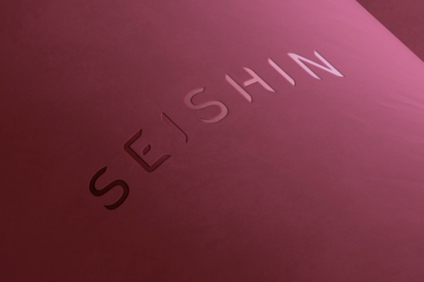 Seishin Magali brain me formation logo